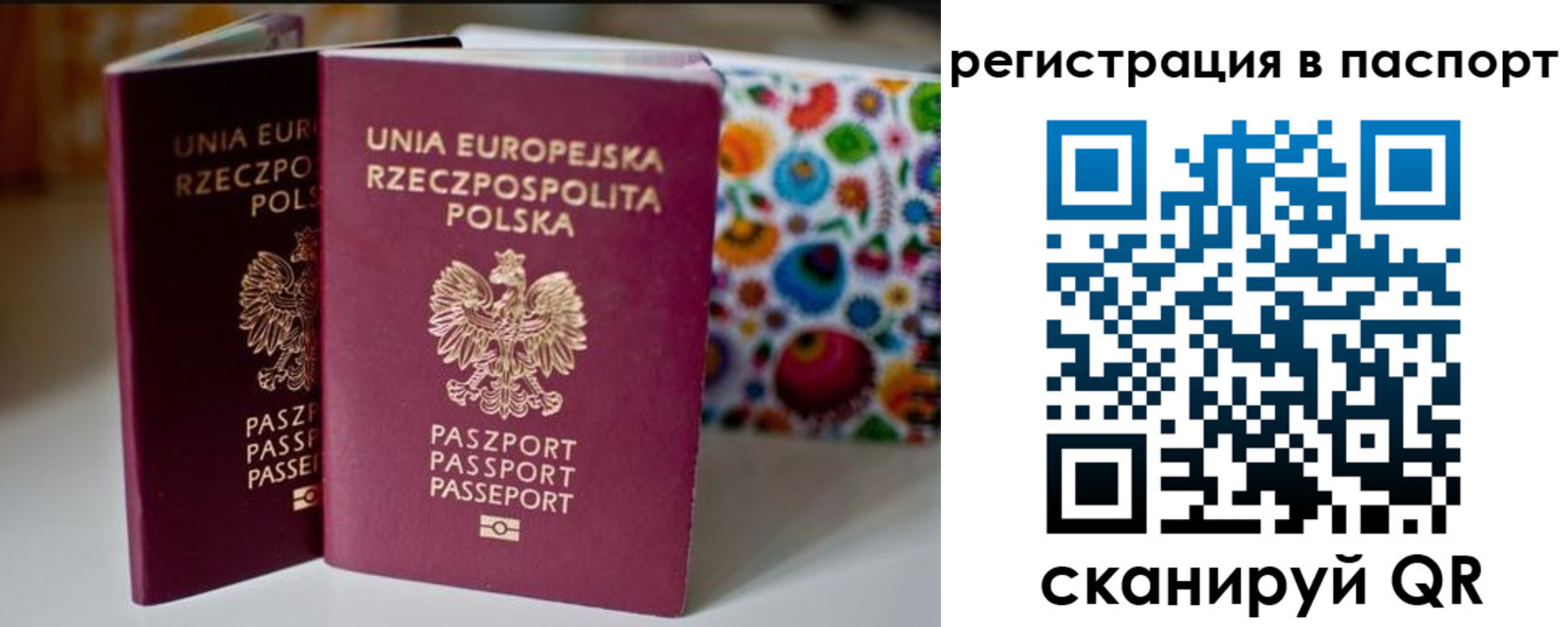 прописка в квартире в Мытищах